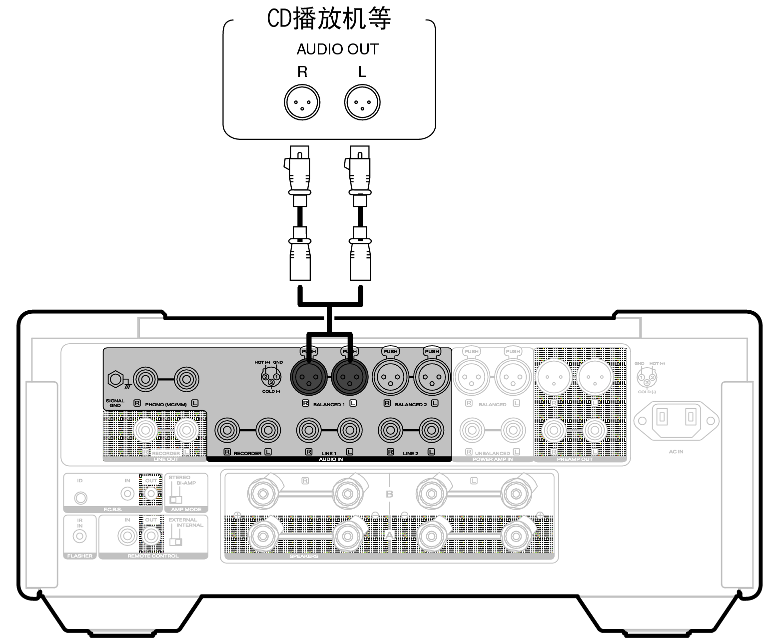 Conne player XLR MODEL10